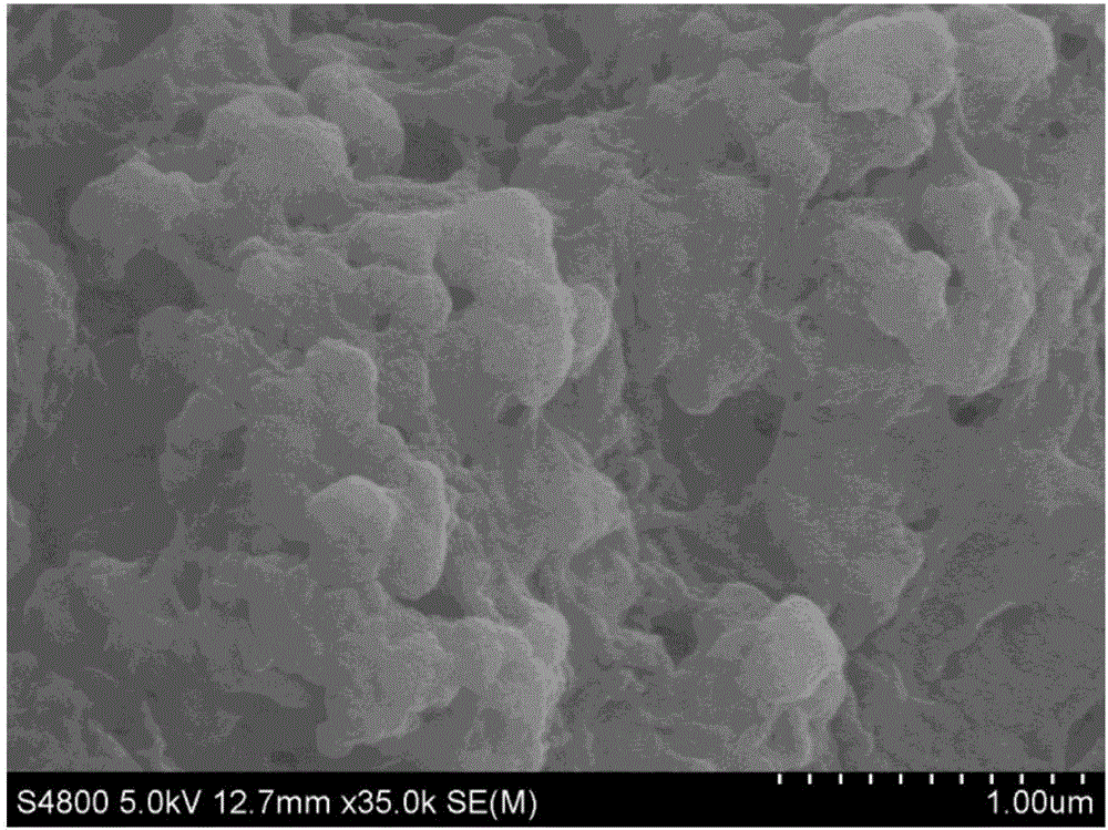 Method for preparing bifunctional catalyst from peanut hull