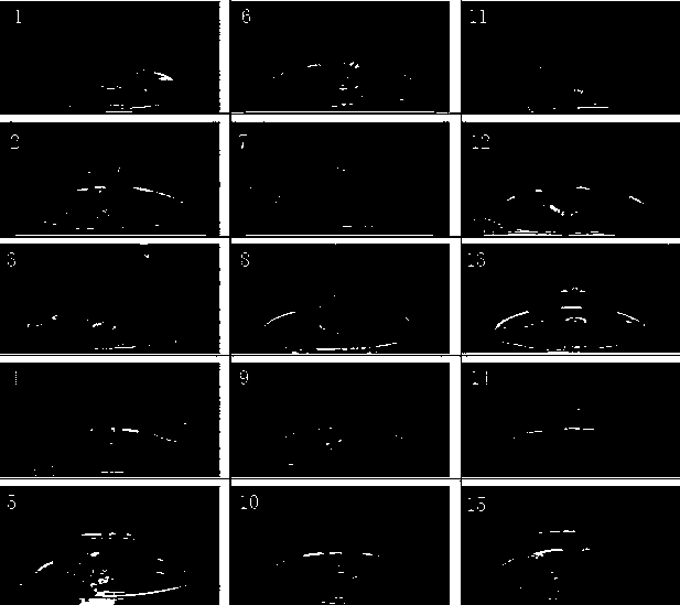 Regeneration culture medium and culture method for improving regenerated adventitious buds of echinacea explants