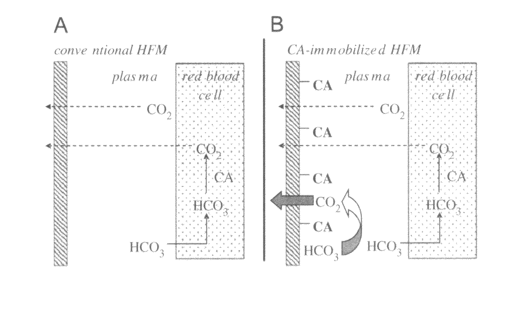 Devices, systems and methods for reducing the concentration of a chemical entity in fluids