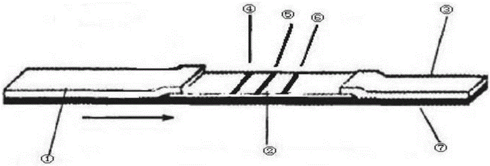 Reagent card for accurately detecting test object, kit and application