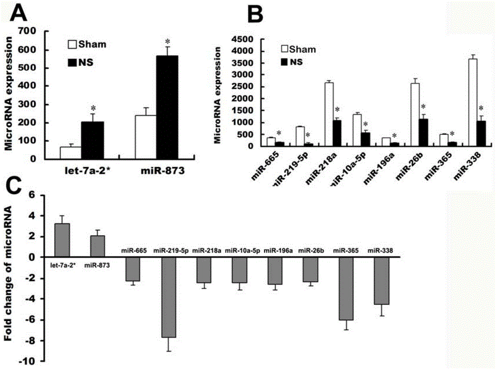 Application of endogenic non-coding small RNA miR-873