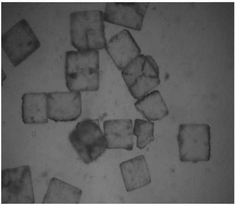 Sodium chloride spherocrystals and preparation method thereof