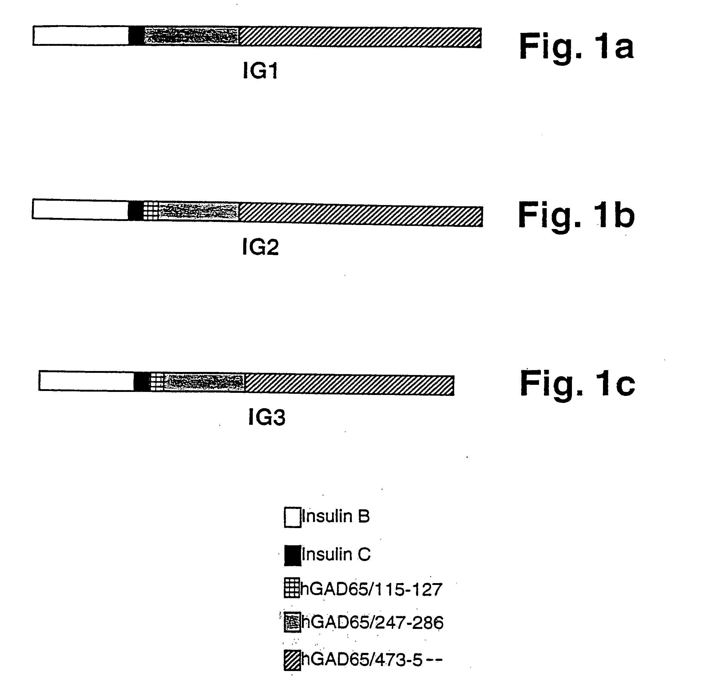 Chimeric proteins for diagnosis and treatment of diabetes