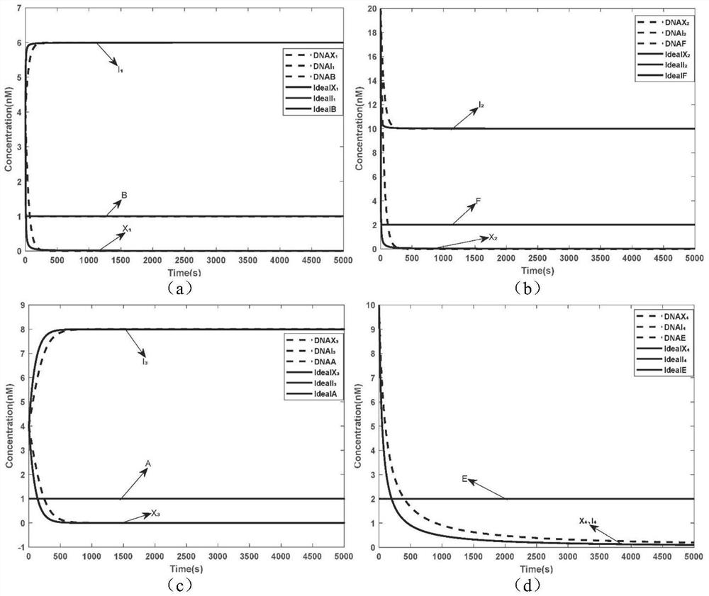 Implementation method for solving binary quadratic equation set based on DNA strand displacement