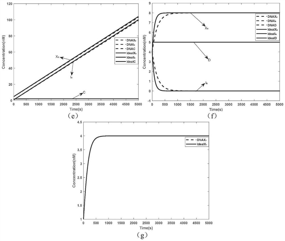 Implementation method for solving binary quadratic equation set based on DNA strand displacement