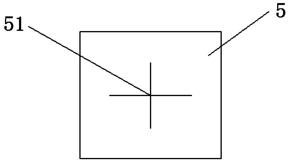 Root division culture device for forest trees