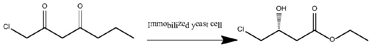 Magnetic immobilized yeast cell and application thereof to synthesis of ethyl R-4-chloro-3-hydroxybutyrate