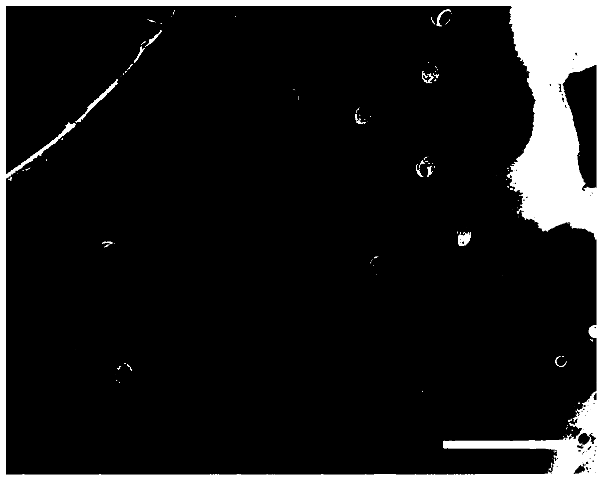 Iodine-starch aerogel and preparation method and application thereof