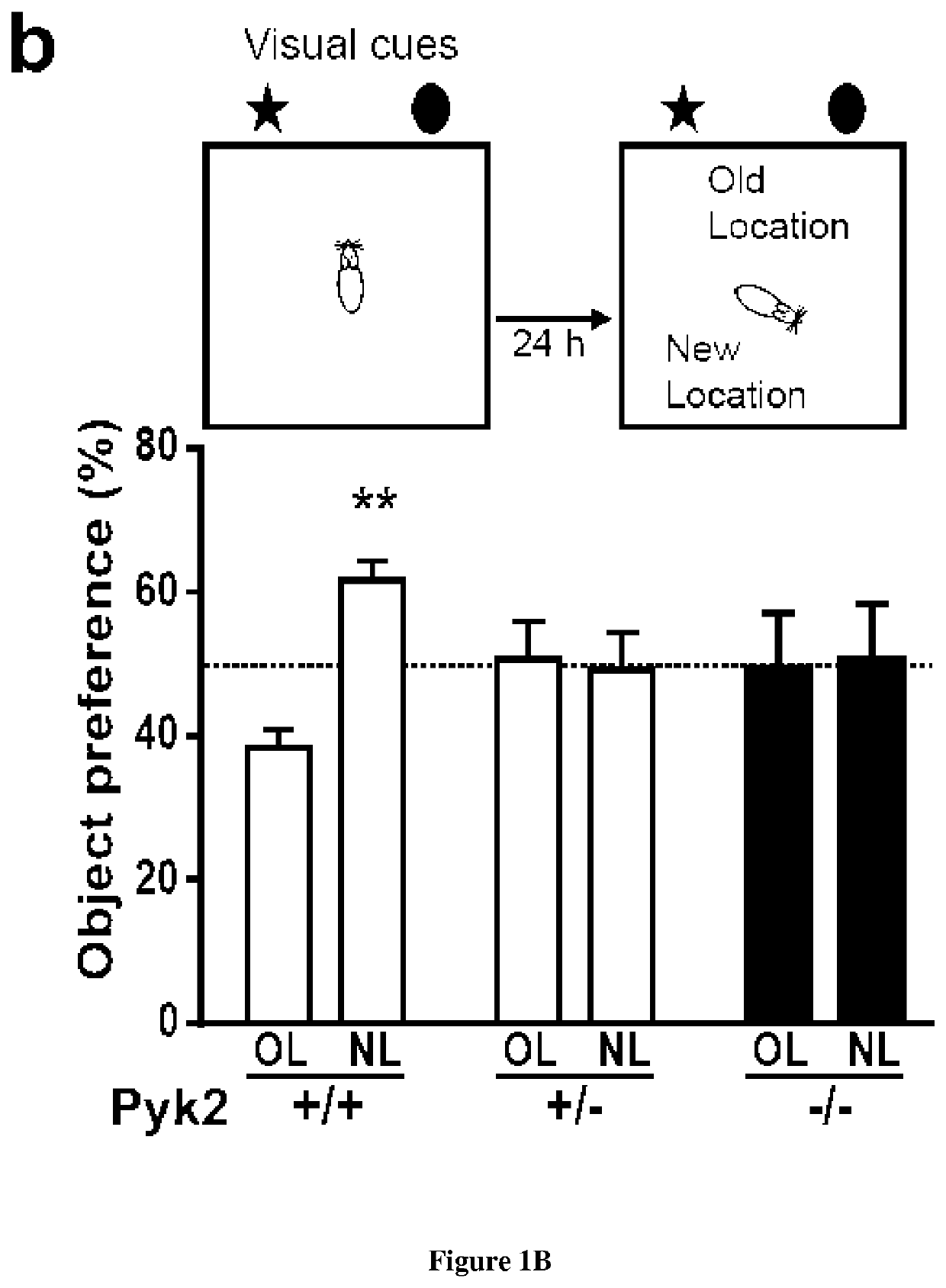 Methods and pharmaceutical composition for the treatment of neurodegenerative disease