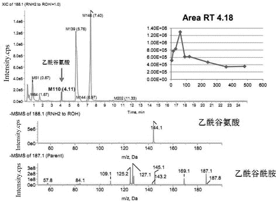 Aceglutamide metabolite identification and detection method