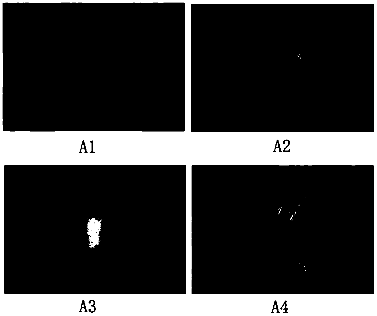 A kind of plant anti-hair growth liquid and its preparation method