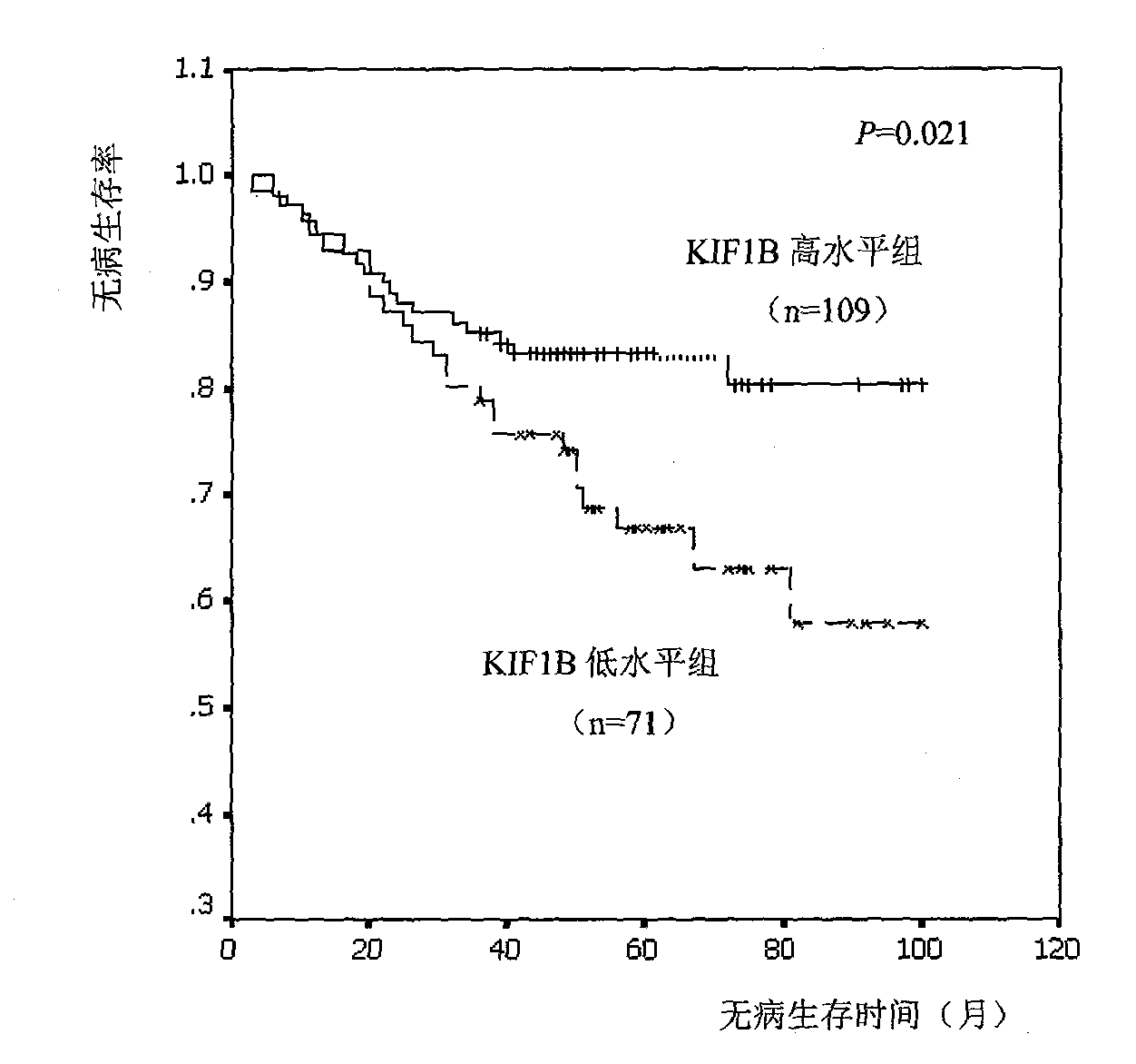 Relative transferring function of kinesin family member KIF1B, landmark application thereof in predicting tumor patient prognosis and application method thereof