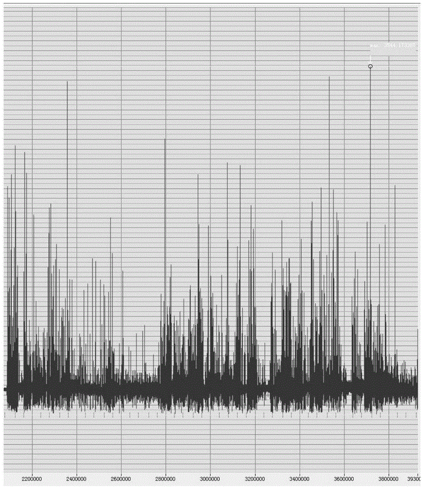 Epilepsy detection device and method