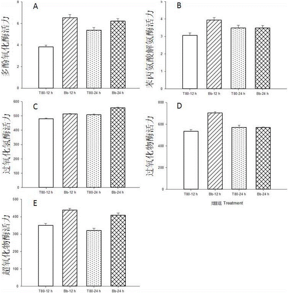 Method for colonizing Beauveria bassiana in corn seedling stage and use thereof