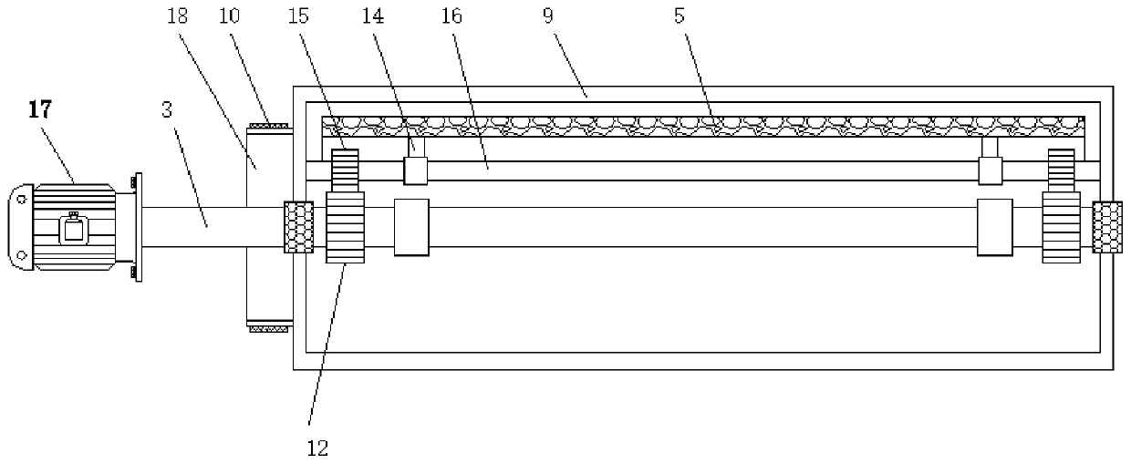 Animal skin hair removing device