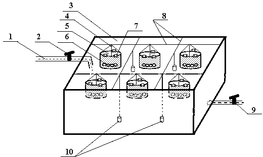 Method and special device for hatching and preferring sepiella maindroni oosperms