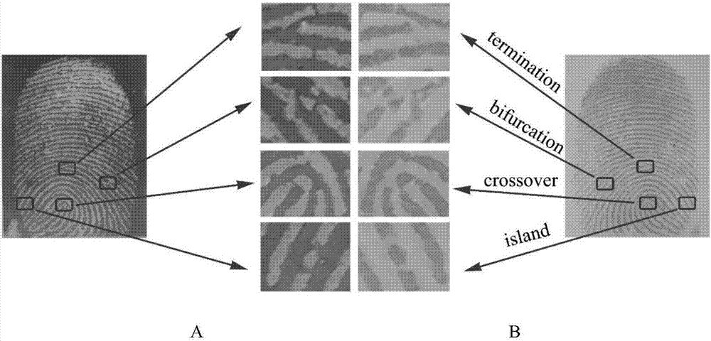 Composite membrane for latent fingerprint transfer or developing or content integrated full-dry state detection and detection method