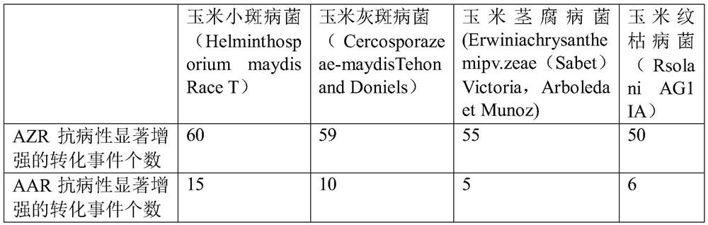 A carrier for improving plant disease resistance and its application