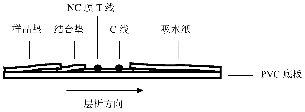 Kit for detecting mastitis of dairy cow and using method thereof