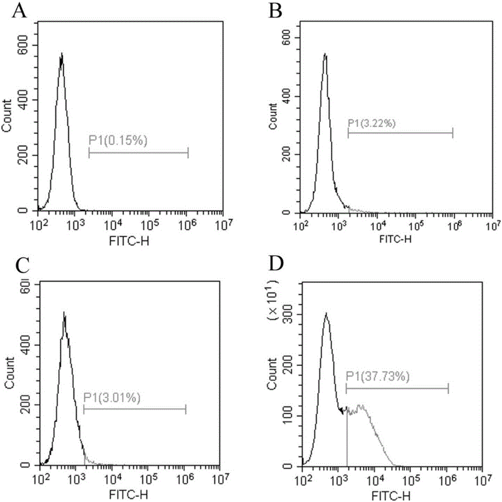 Method for displaying human arginase1 on surfaces of escherichia coli