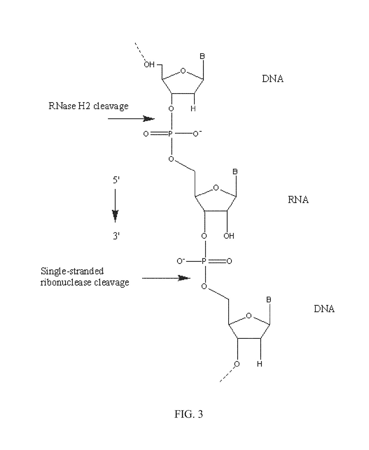 RNase H-based assays utilizing modified RNA monomers