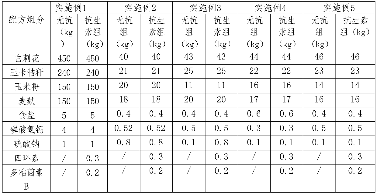 Antibiotic-free sheep fermented total mixed ration containing sophora davidii