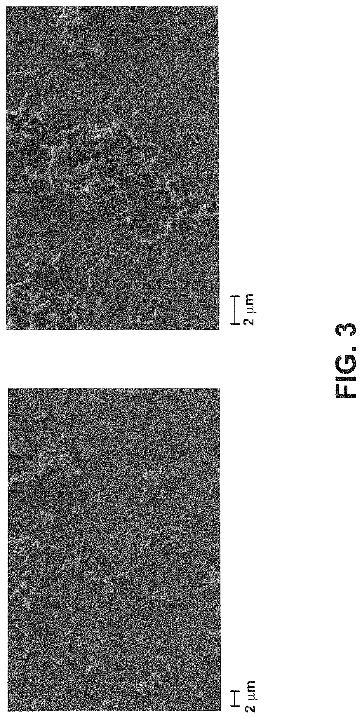 Nanocomposite additives based on graphene sheets and silica nanofibers