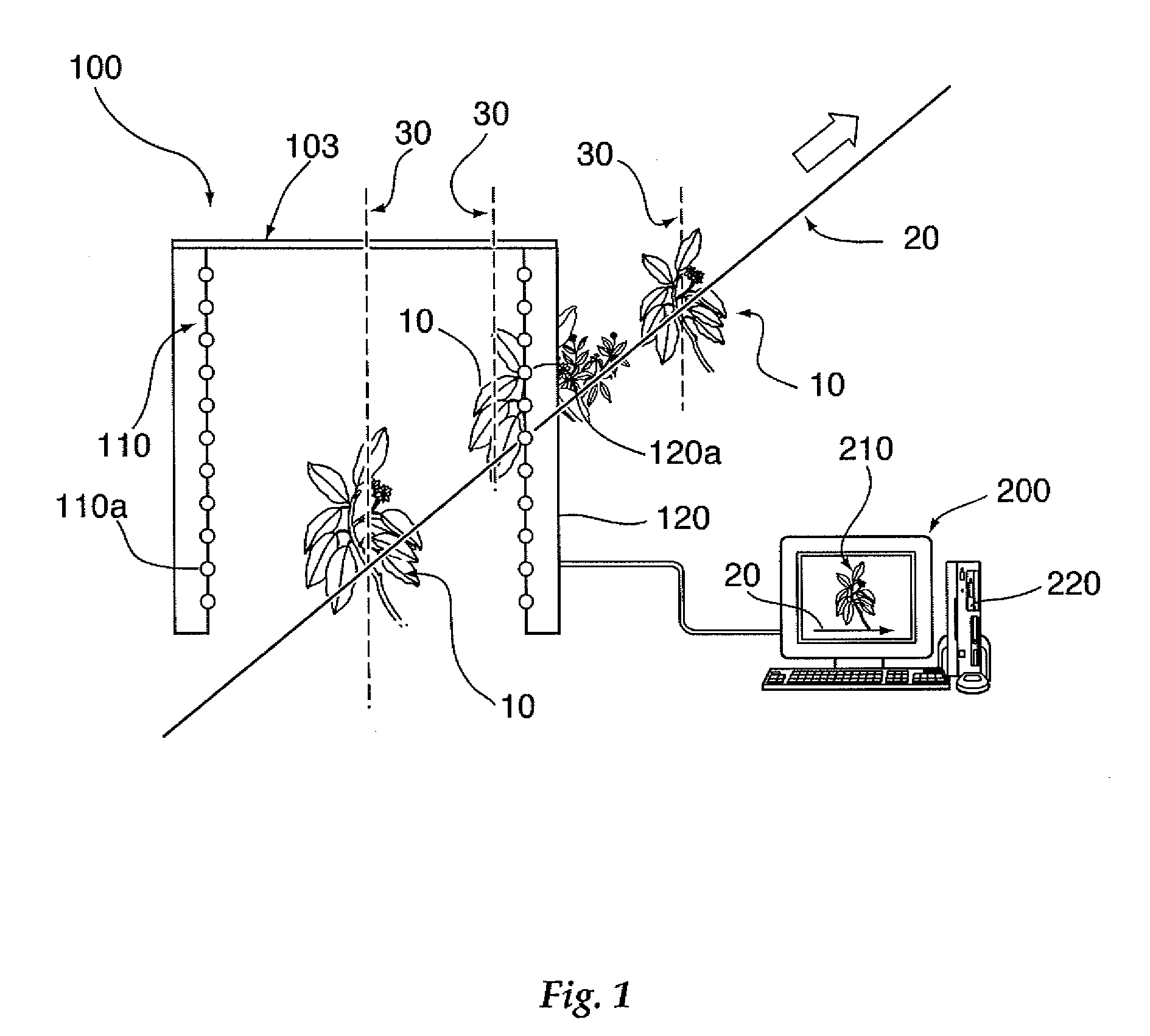 Sensor system, method, and computer program product for plant phenotype measurement in agricultural environments