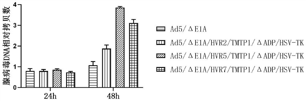 Oncolytic adenovirus recombinant carrying TMTP1 and HSV-TK as well as construction method and application of oncolytic adenovirus recombinant