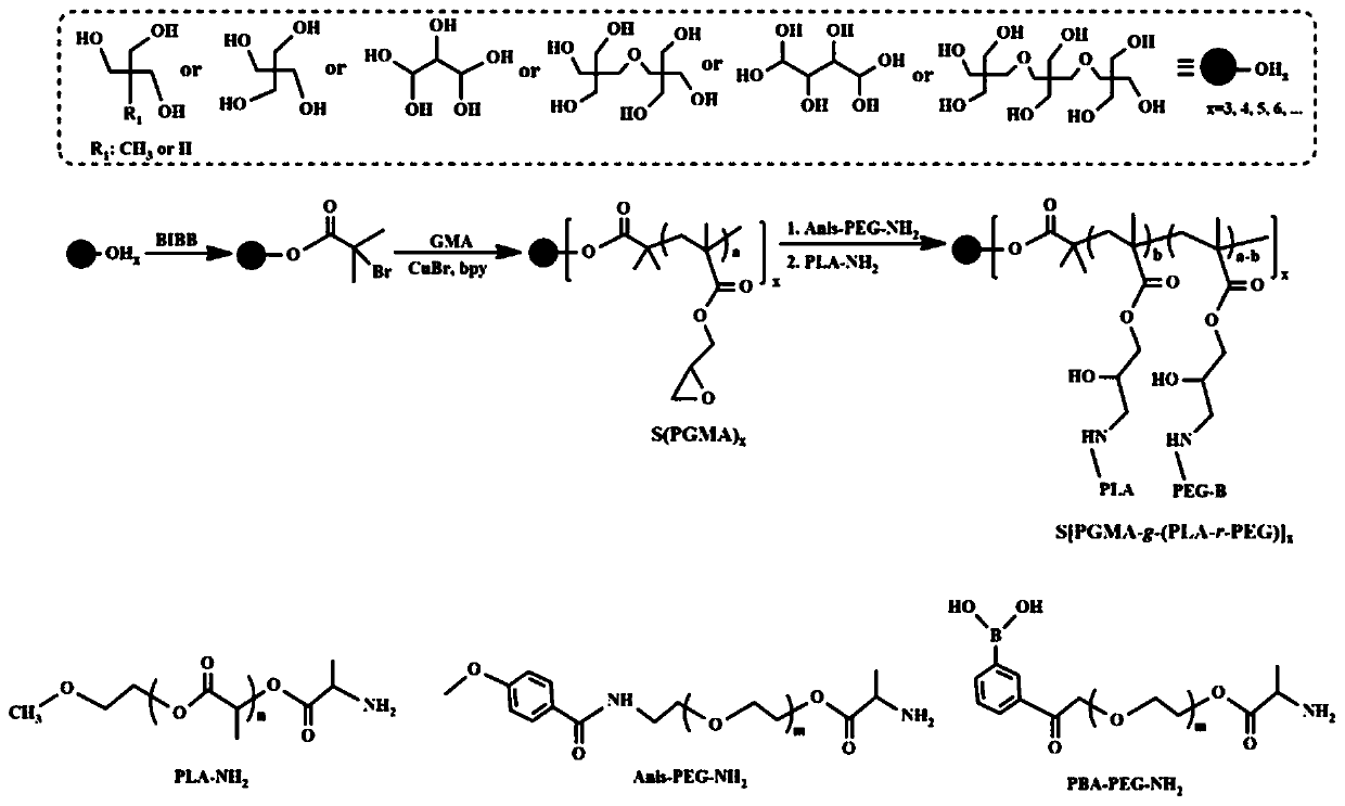 A kind of tumor actively targeting star-shaped amphiphilic polymer micelle nanomedicine and preparation method thereof