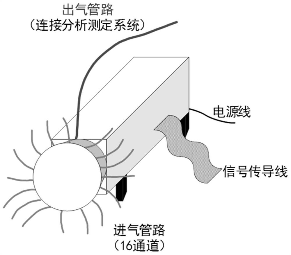 Dry land soil denitrification culture device and application thereof