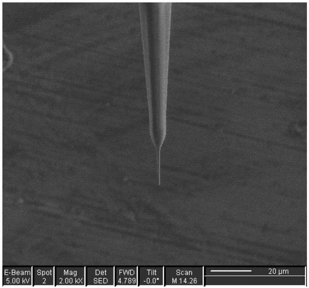 A preparation method of a pt disk submicron electrode with controllable geometry