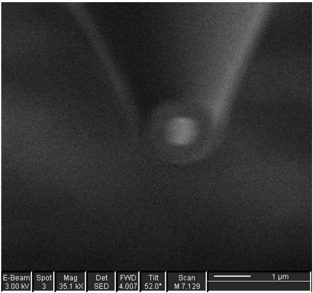 A preparation method of a pt disk submicron electrode with controllable geometry