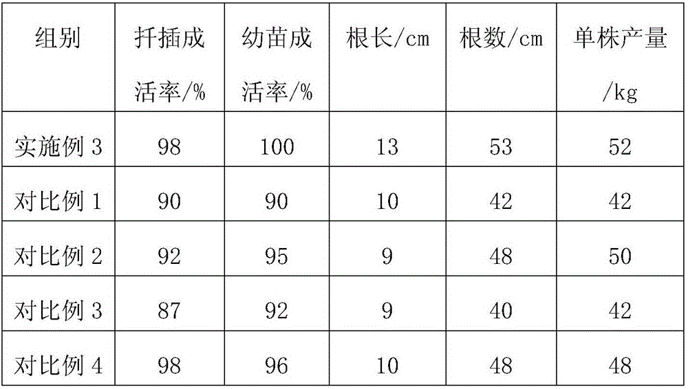 Seedling culturing method of pitaya