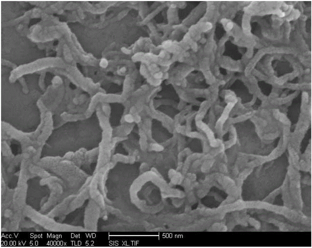 Preparation method of functionalized carbon nanotube powder