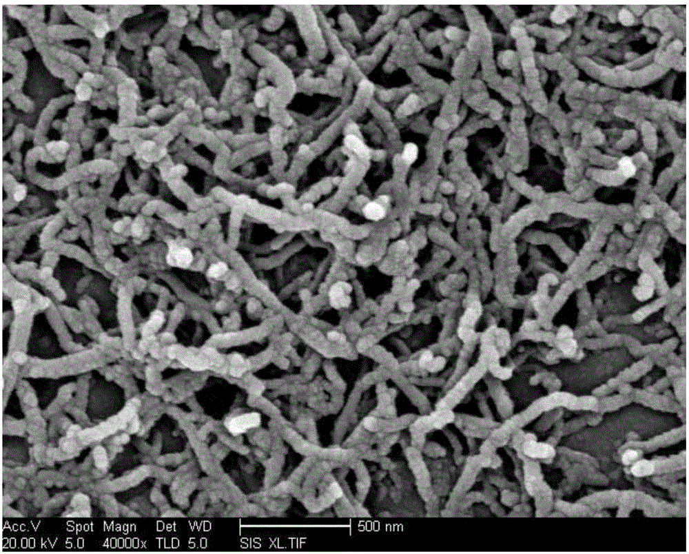 Preparation method of functionalized carbon nanotube powder