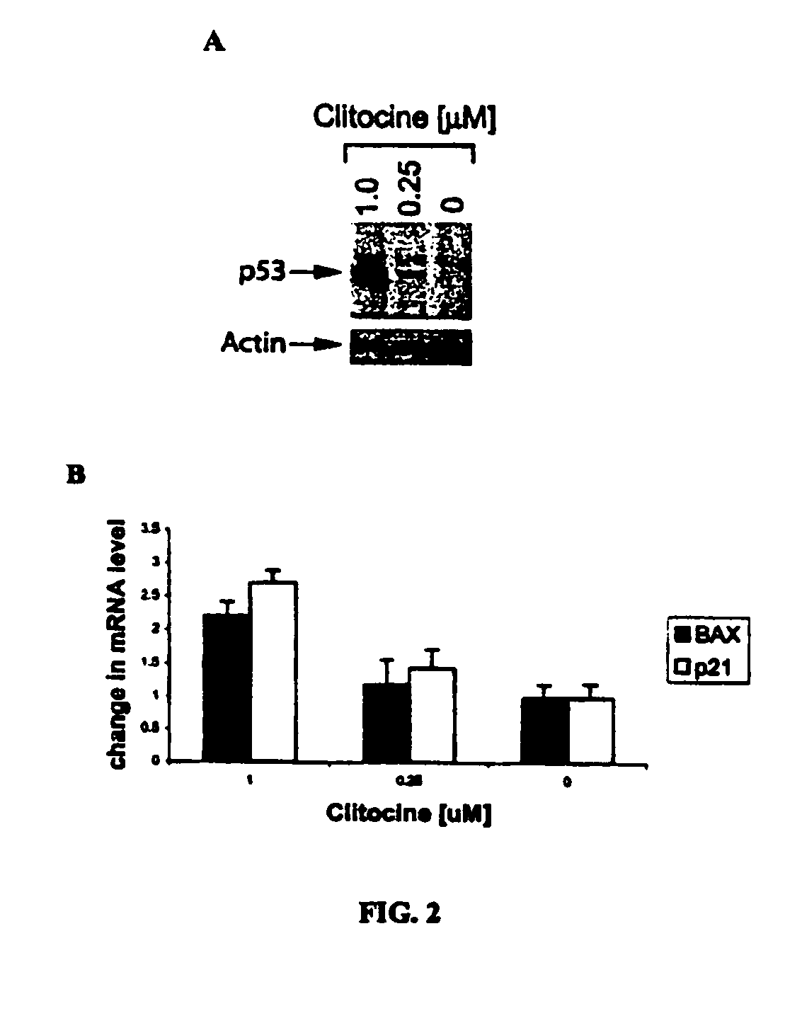 Nucleoside compounds and their use for treating cancer and diseases associated with somatic mutations