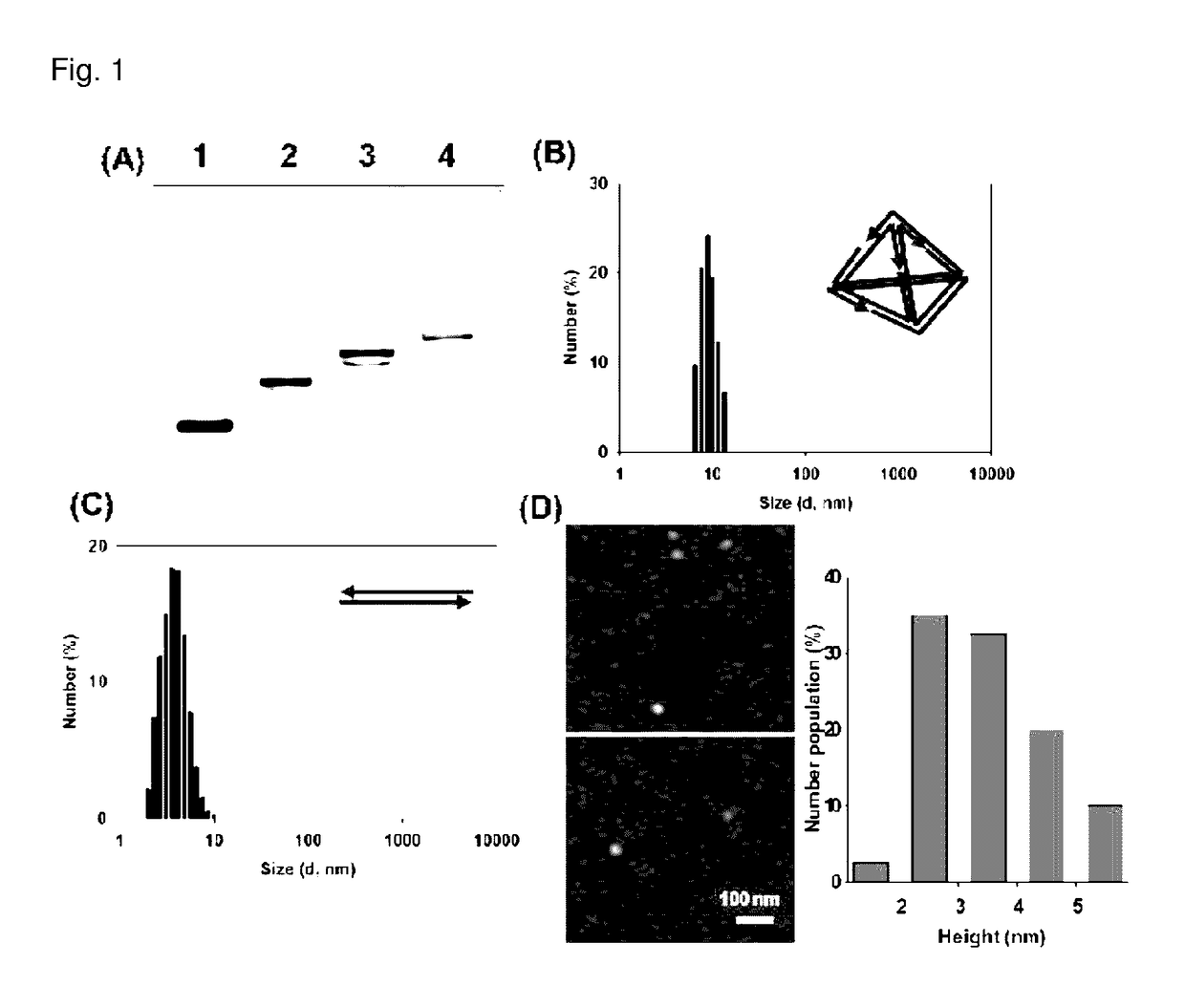 Contrast medium composition and method of bio imagination using the same