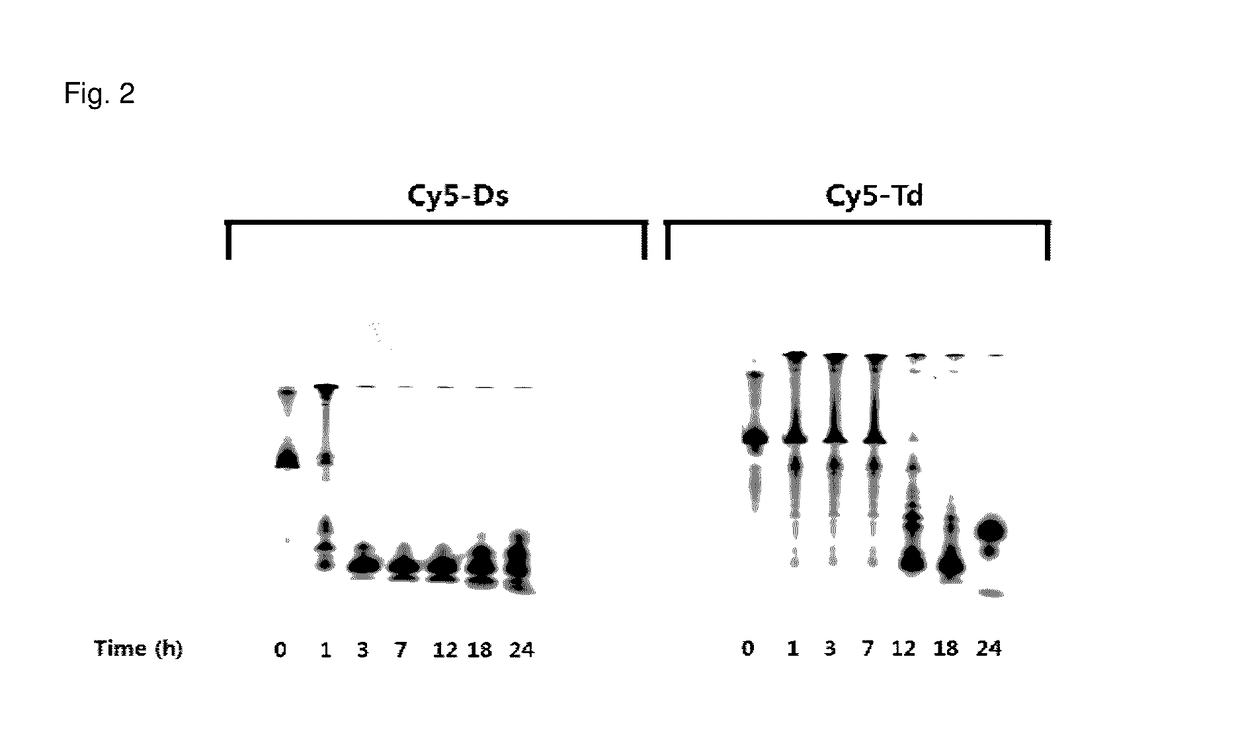 Contrast medium composition and method of bio imagination using the same