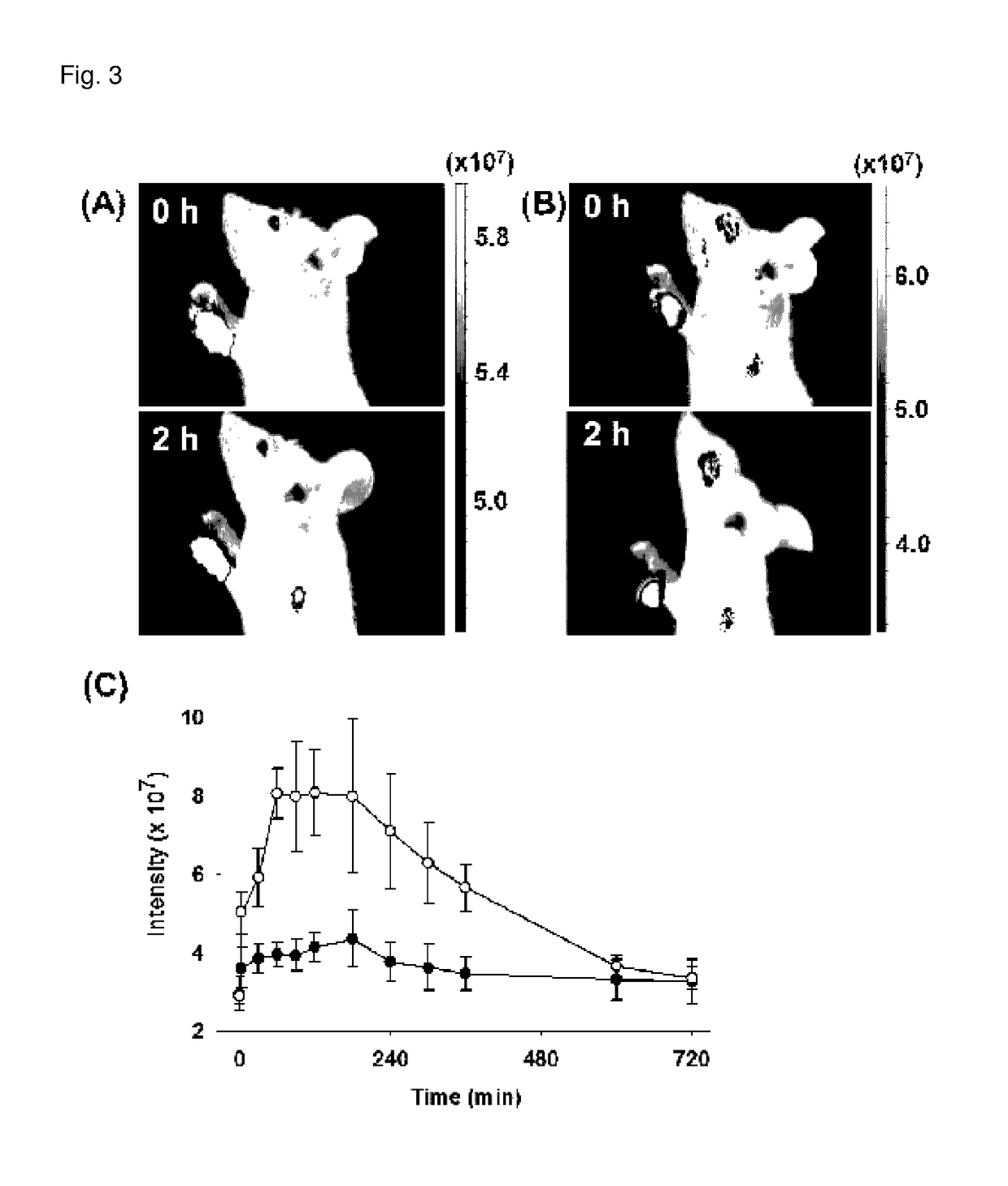 Contrast medium composition and method of bio imagination using the same