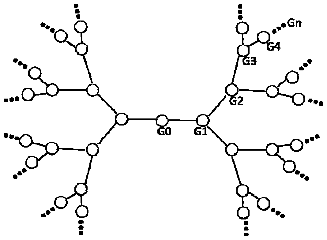 Dendritic branched molecular modified separation membrane and preparation method thereof, composite separation membrane and application of dendritic branched molecular modified separation membrane and composite separation membrane