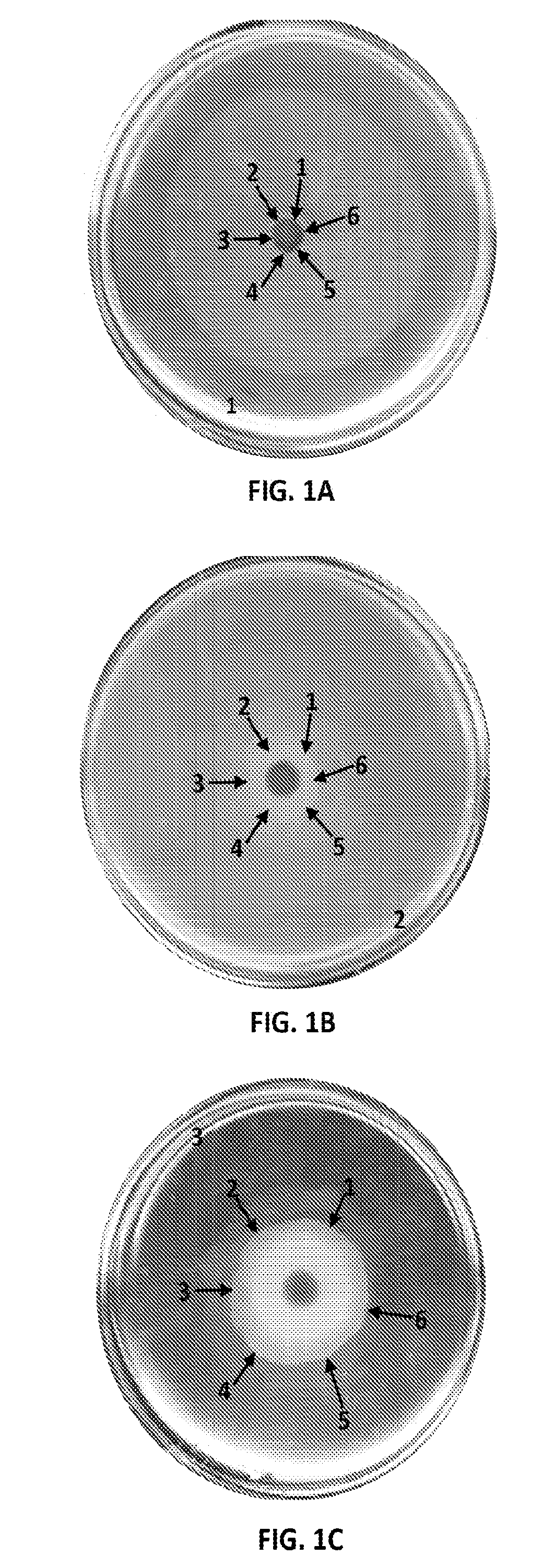 Microbial hyperswarmers and uses thereof