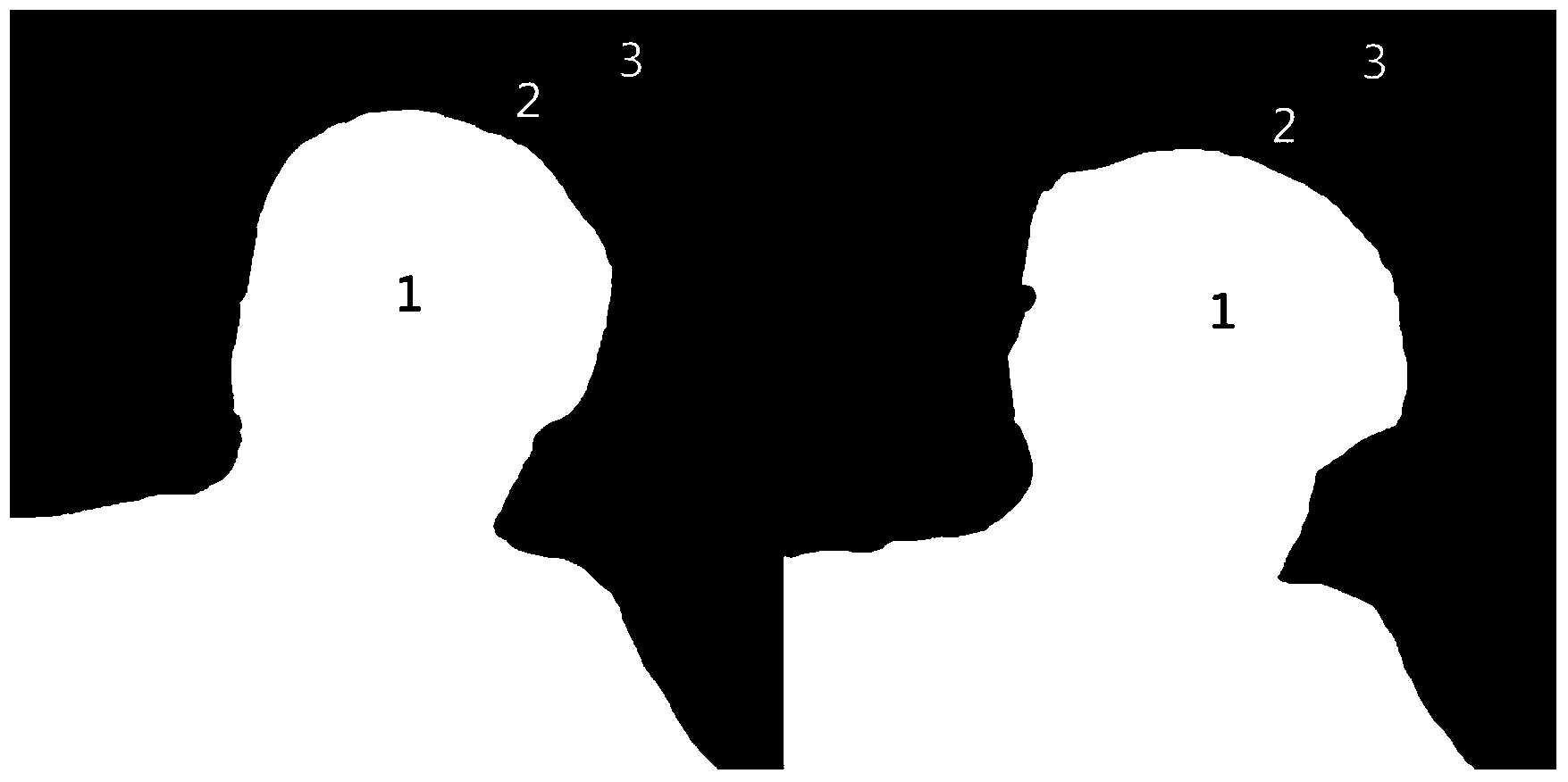 Image collaborative cutout method based on confidence level