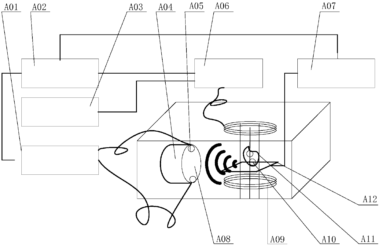 Magnetosonic electric imaging method and device adopting electromagnetic focusing ultrasonic excitation