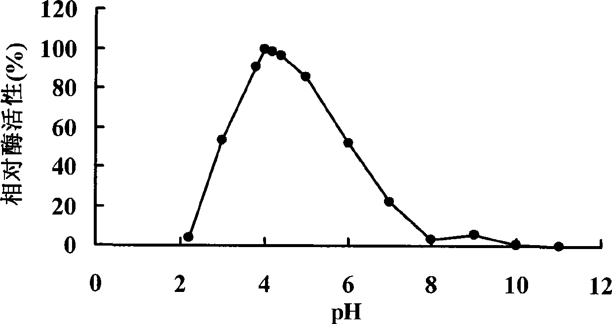 Anti-protease acidic alpha-galactosidase Aga-F75 and gene and application thereof