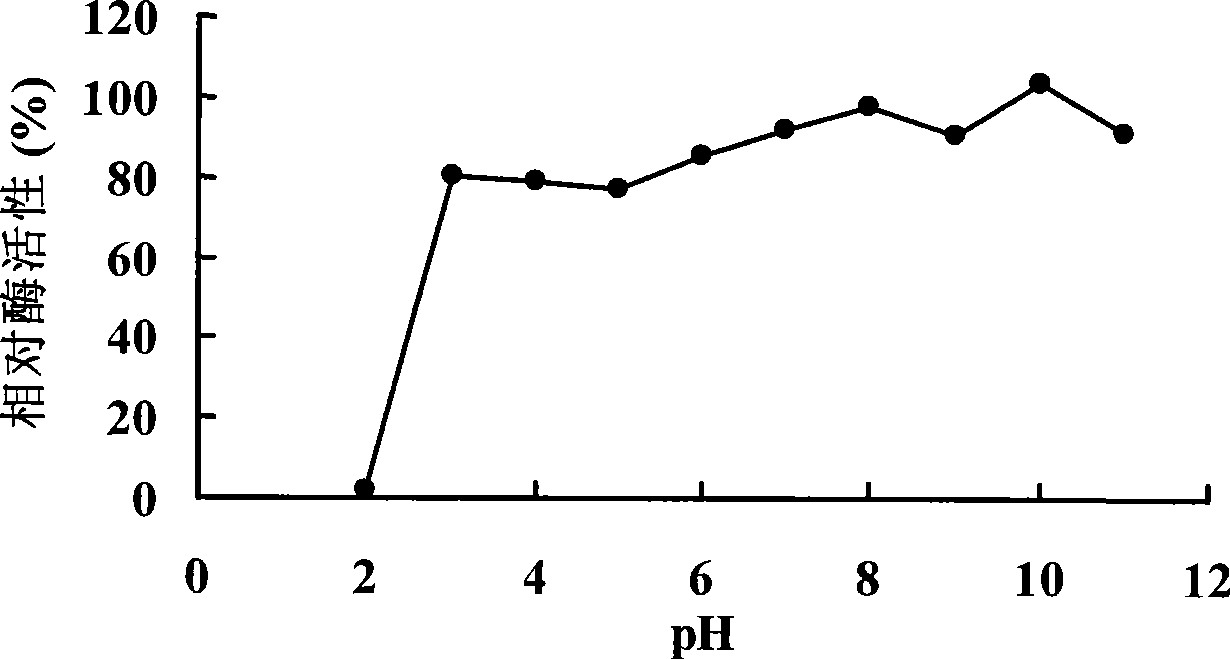 Anti-protease acidic alpha-galactosidase Aga-F75 and gene and application thereof