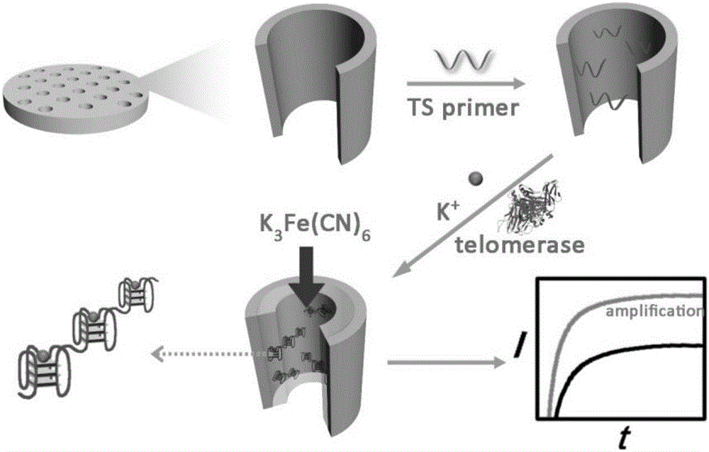 Method for quantitatively detecting telomerase activity based on nano pore channel and electrochemical sensing