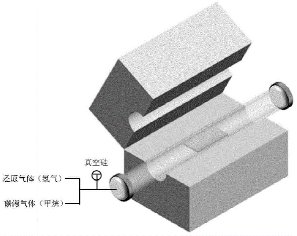 Large monocrystal graphene and preparation method thereof