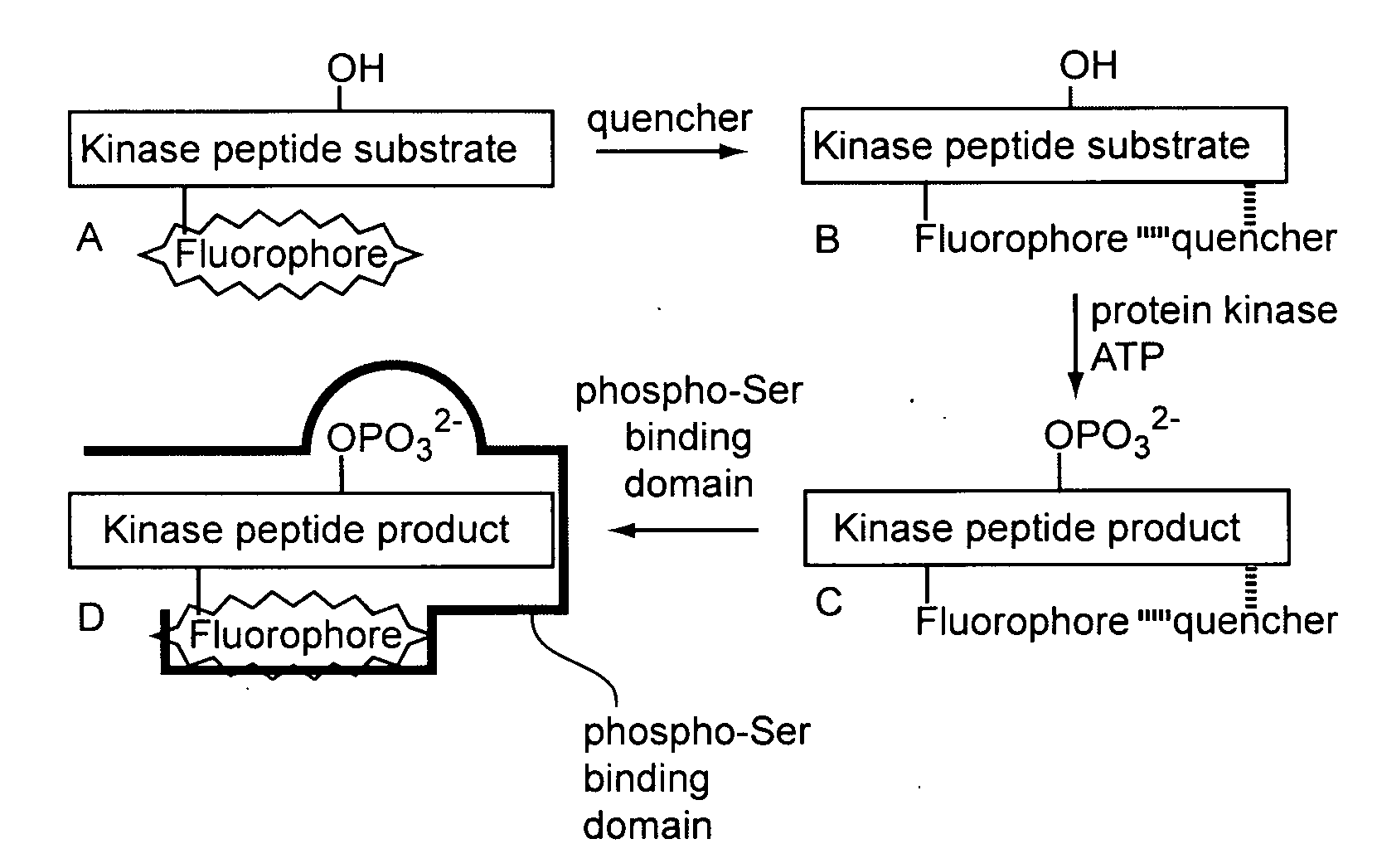 Deeply quenched enzyme sensors