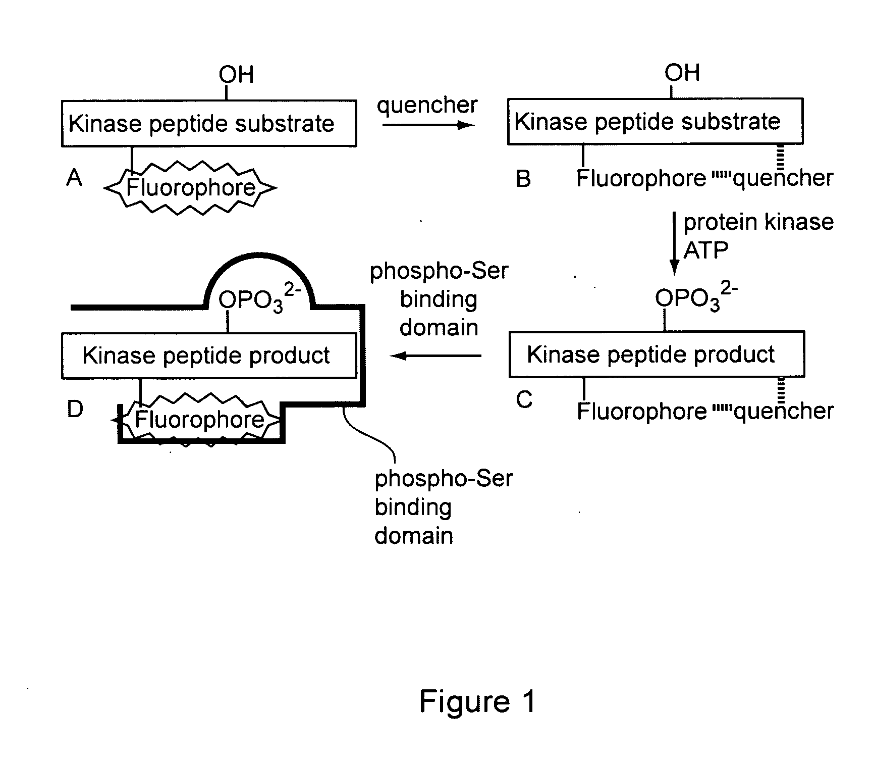 Deeply quenched enzyme sensors